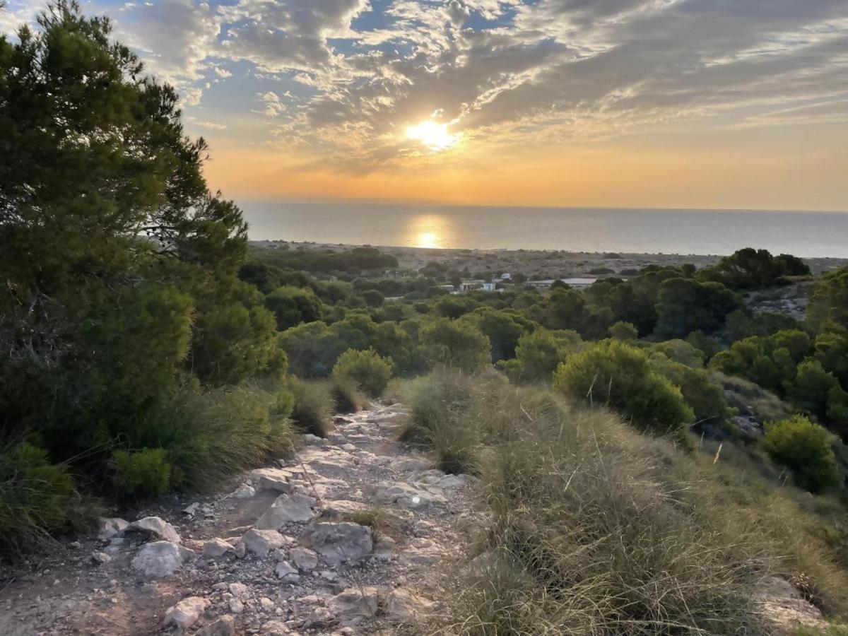 גראן אלקנט Iconic Alluba Alicante Luxury Bay מראה חיצוני תמונה